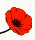 ZebRun Icon
